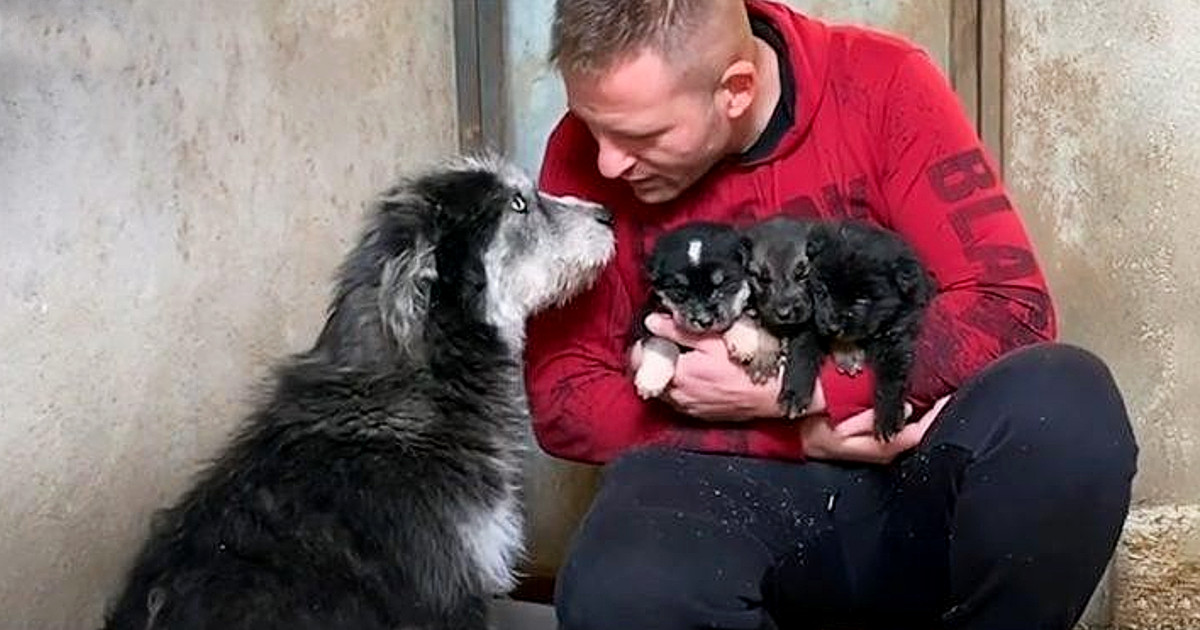 While most would have felt scared or hes...