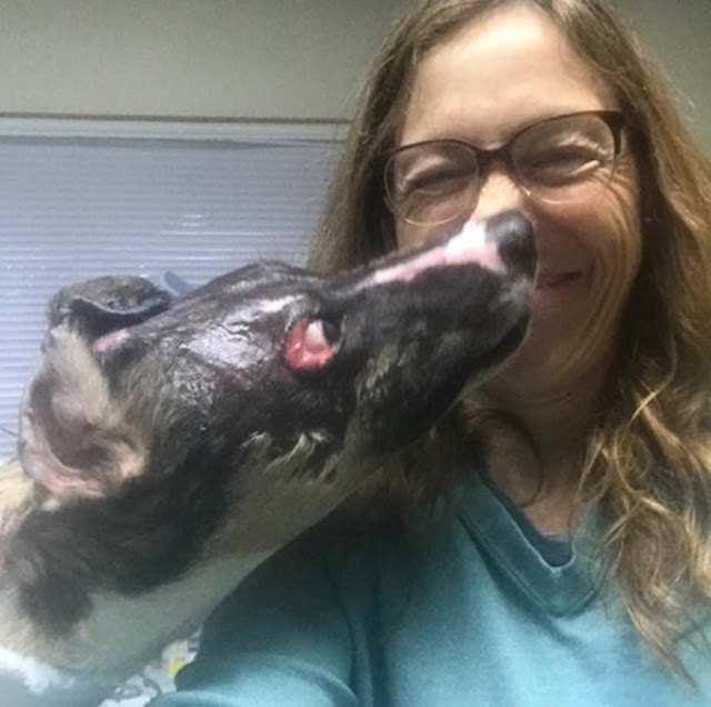 Dr. Oakley noted the fish skins provided...