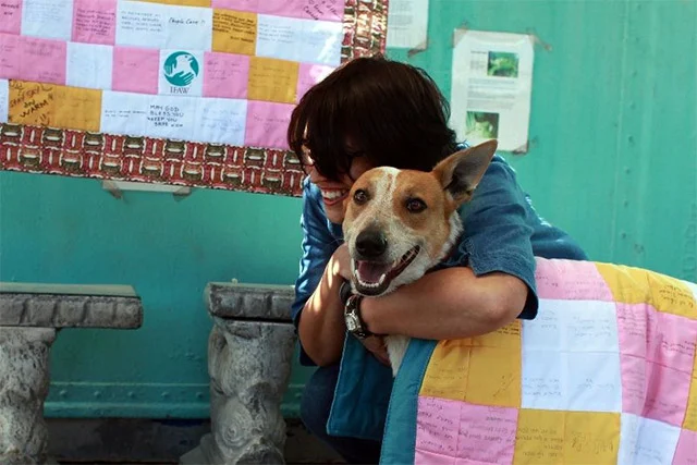 Through IFAW's efforts, Lily's story con...