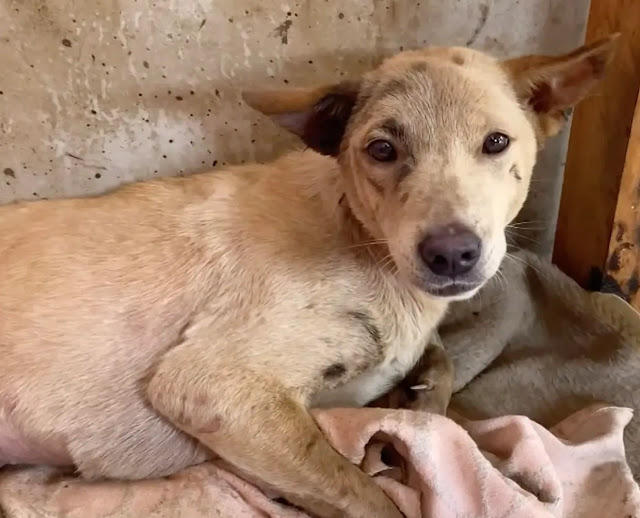 Extra image from article