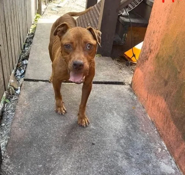 Extra image from article