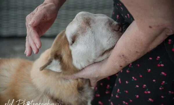 While some might worry about Serenity be...