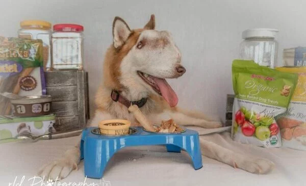 Dawson is prepared for the time when Ser...