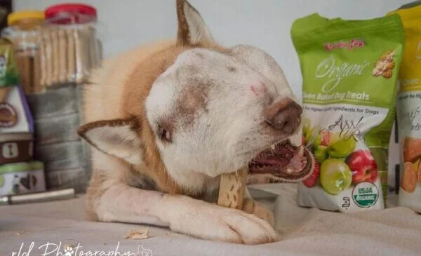 Extra image from article