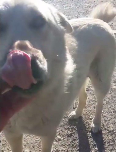 Extra image from article