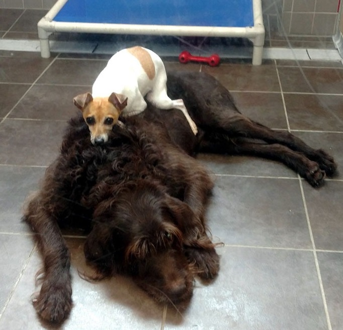 Extra image from article