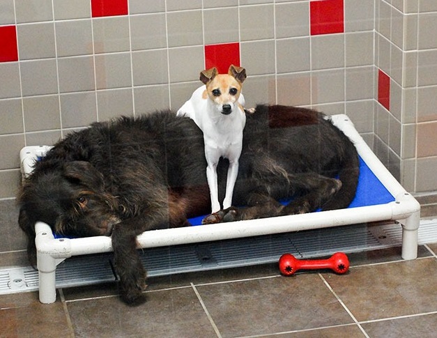 In an uplifting turn of events, CC and C...