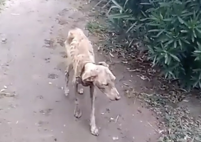 Once at the clinic, he received a hearty...