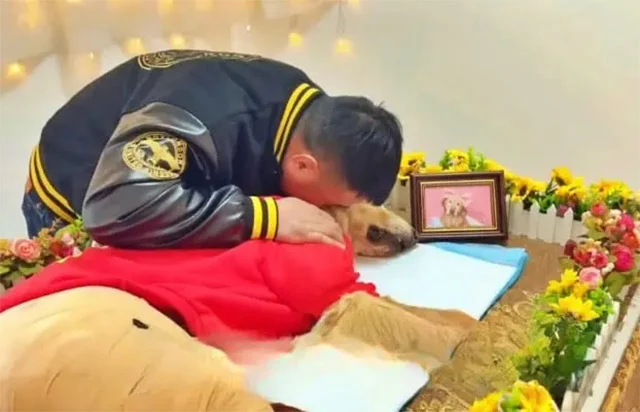 Extra image from article