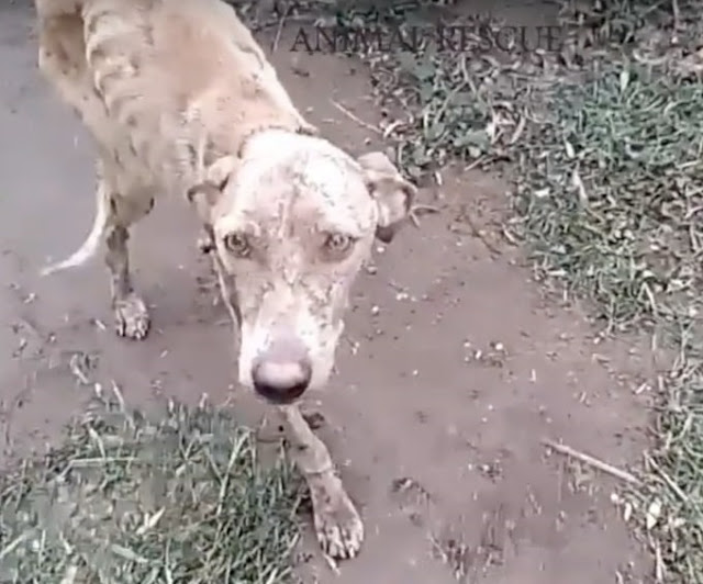 Although he still has a significant heal...