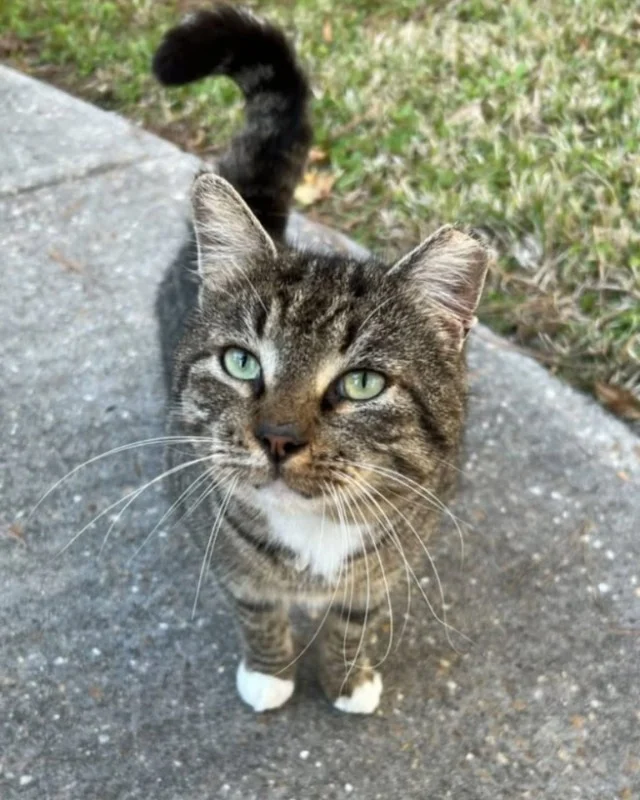 Cecil's story is yet another reason Step...