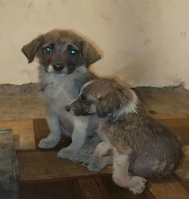 Despite the daunting road ahead, there w...