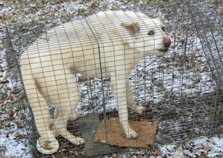 The first step in helping George was to ...