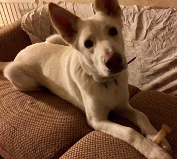 Extra image from article