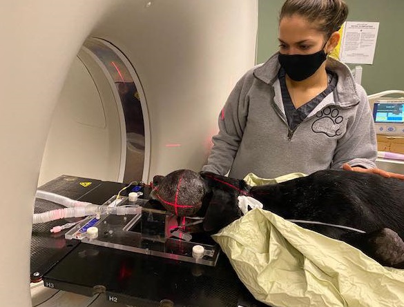 Ultimately, the most meaningful actions ...