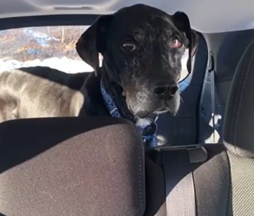 Extra image from article