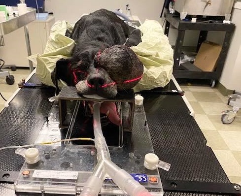 Extra image from article