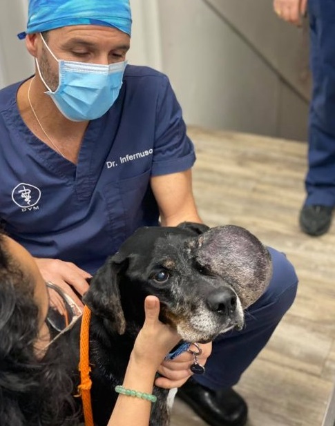 The dedicated staff at the rescue organi...