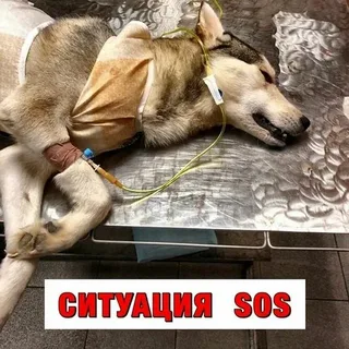 A poignant photograph recently captured ...