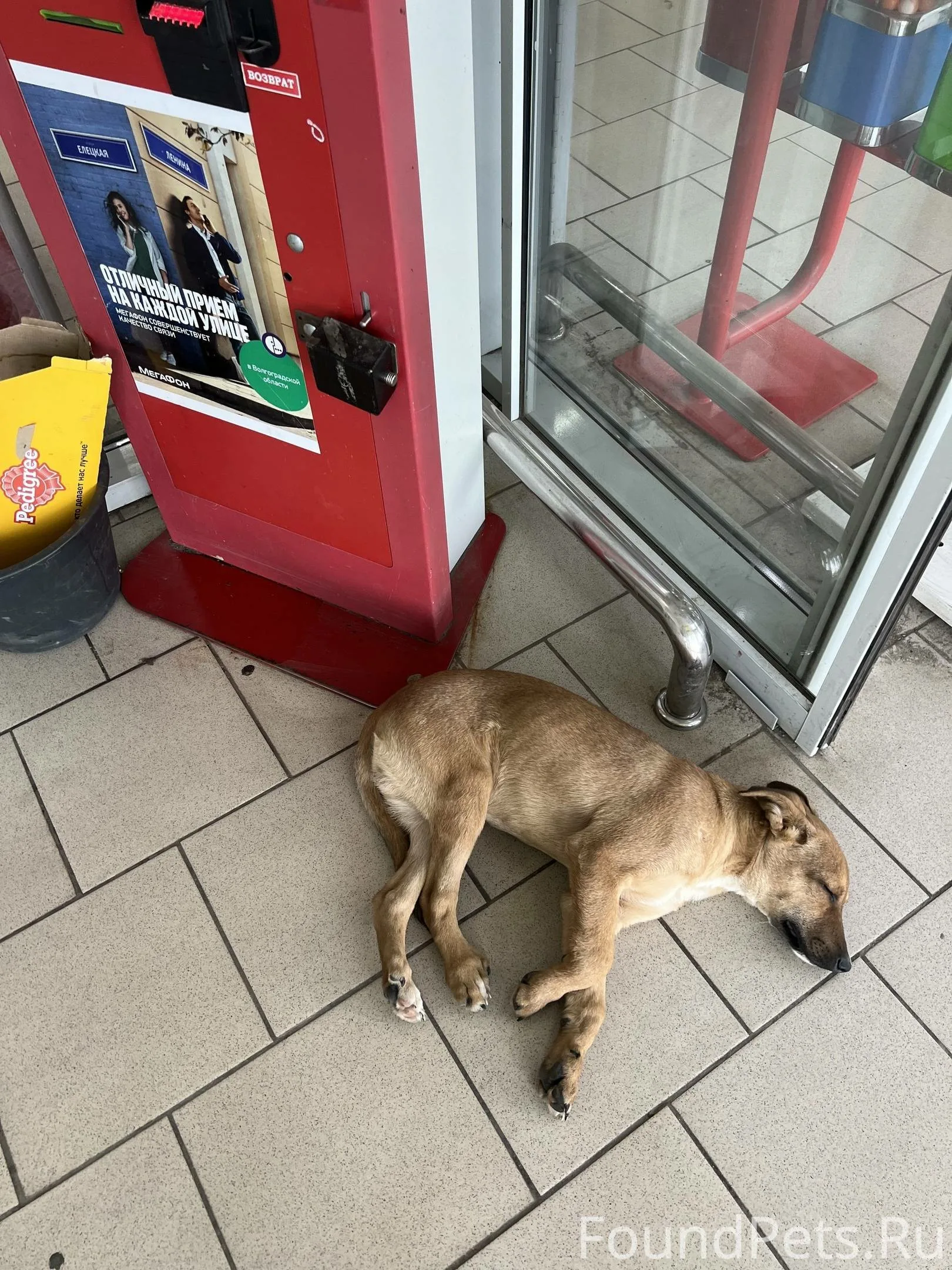 Extra image from article