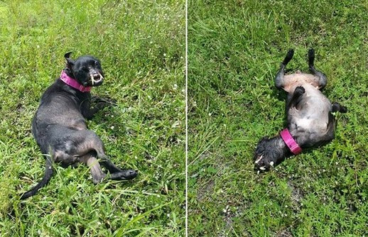 Extra image from article