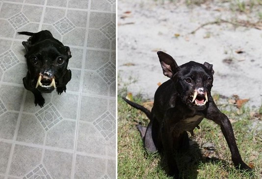 Extra image from article