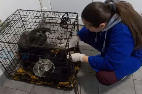 With his new family, Isumu discovered wh...