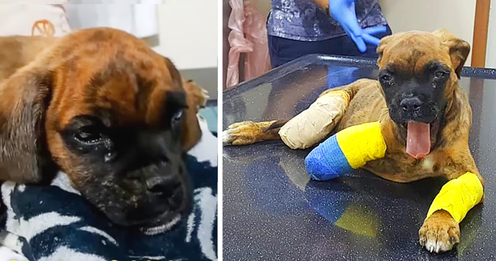 ASKIM survived the ordeal with a spirite...