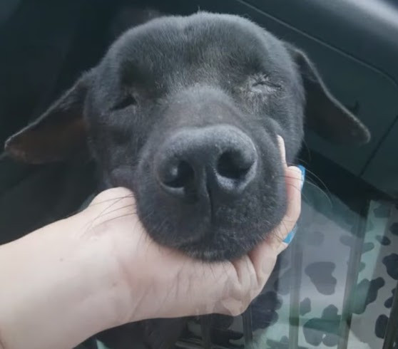 Extra image from article