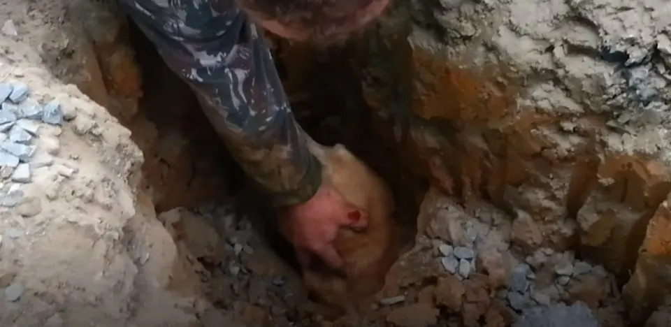 While the exact circumstances that led t...