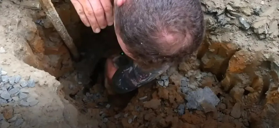 Extra image from article