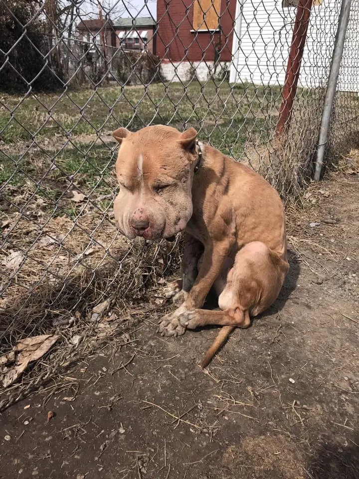 Marco's journey to recovery was just beg...