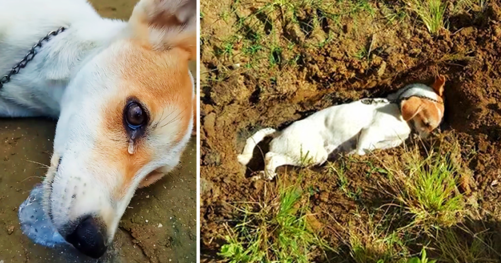 The heartbreaking event occurred early o...