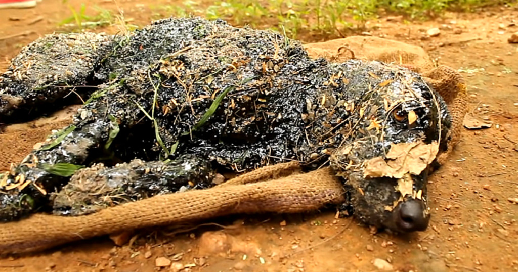 Upon receiving the call, the team from A...