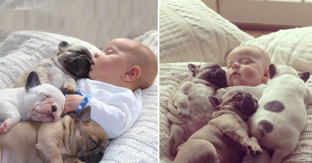 In this captivating clip, the two dogs a...