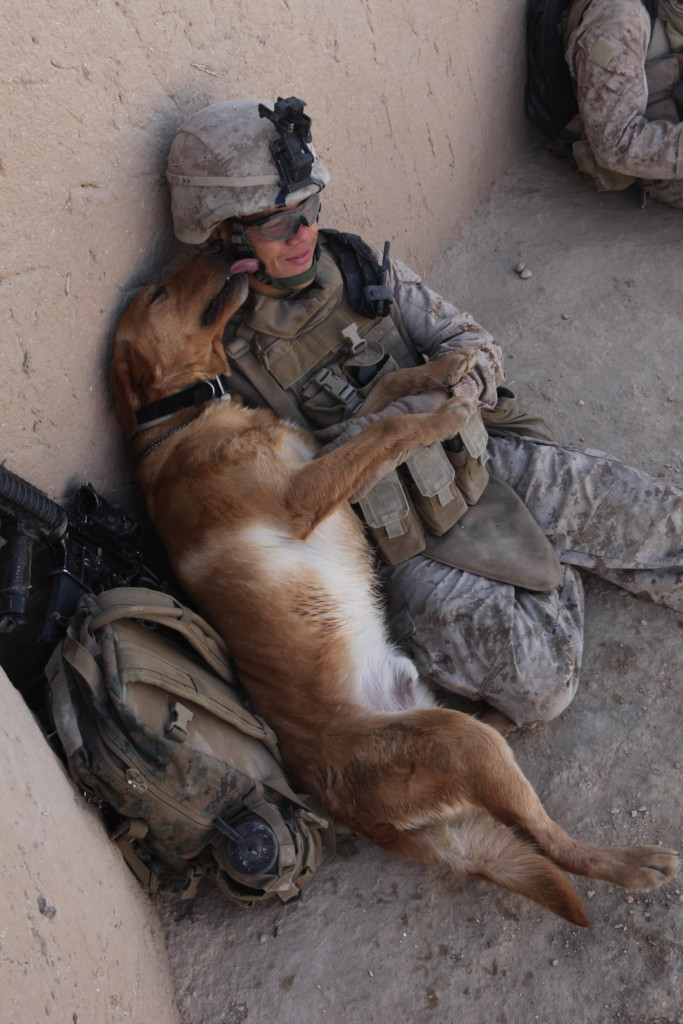 Their bond, forged over long hours of tr...