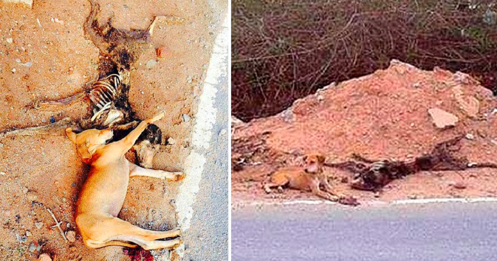 In one poignant example from India, a de...