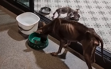 Weeks later, the transformation was asto...