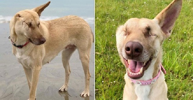 Maggie's story soon reached the Wild At ...