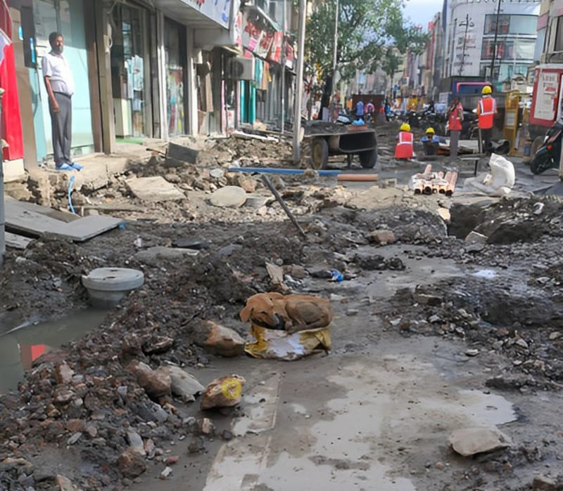 The story begins with an emotional depic...