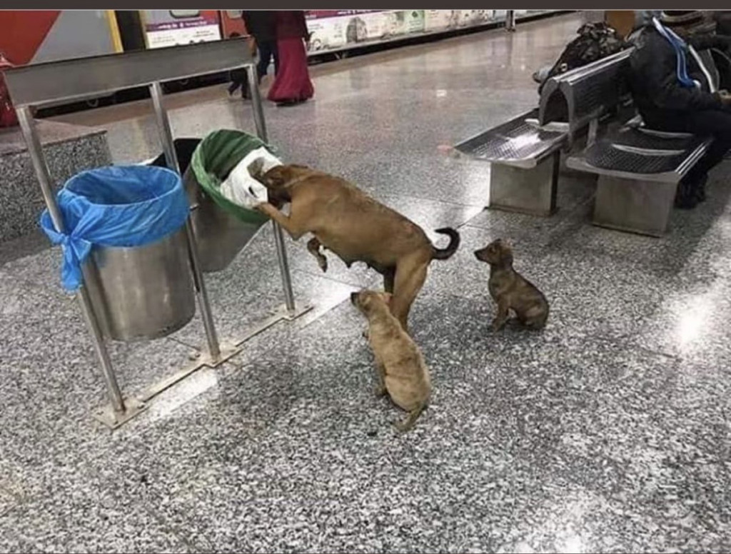 Every day, this courageous mother embark...
