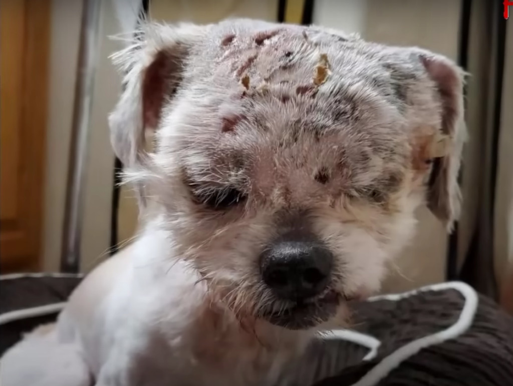 This tale serves as a reminder of the in...