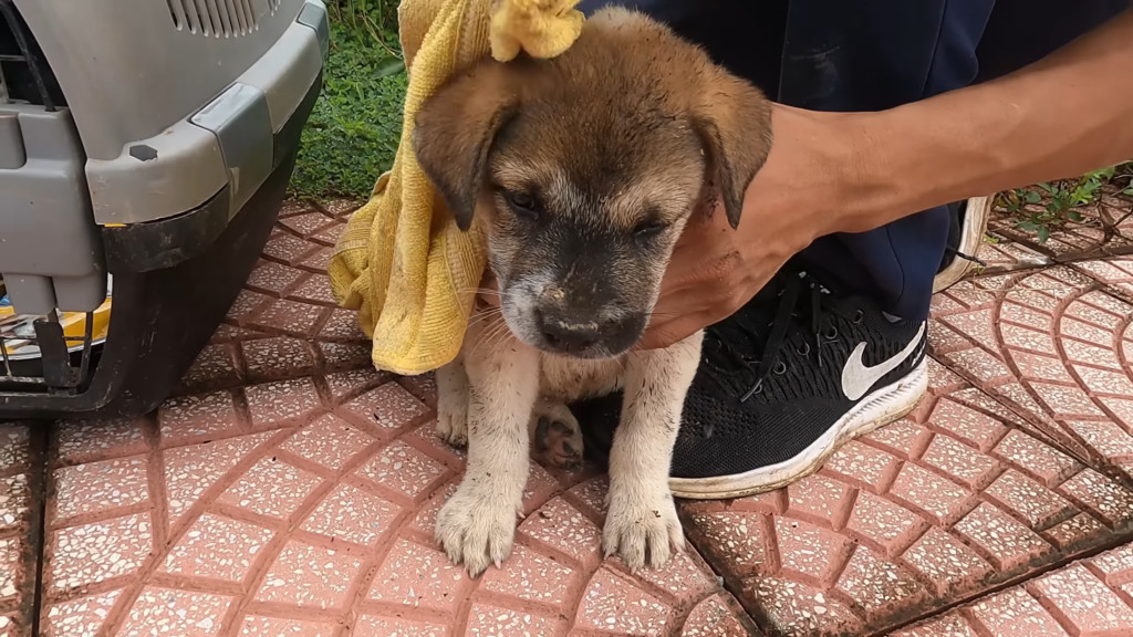 Over the following weeks and months, the...