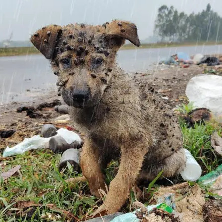 This simple act of compassion marked the...