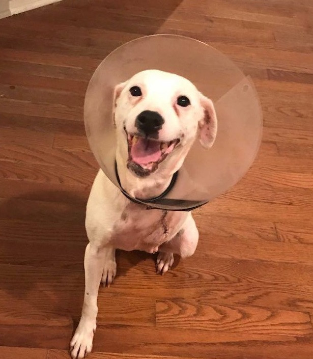 Extra image from article