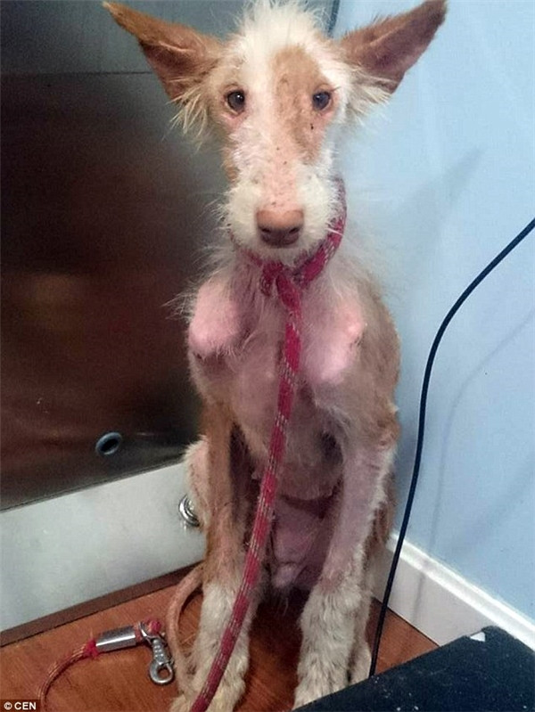 This tragic discovery serves as a stark ...