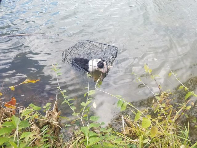 The rescue took place during a routine w...