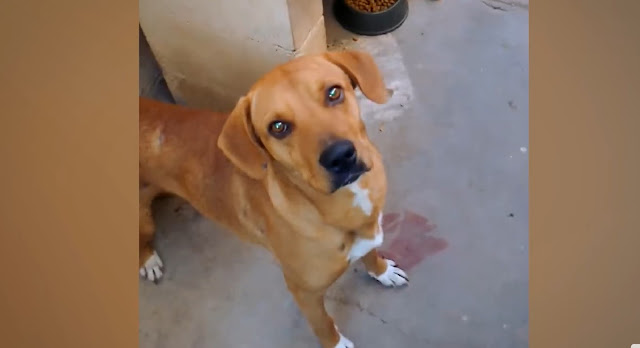 Extra image from article