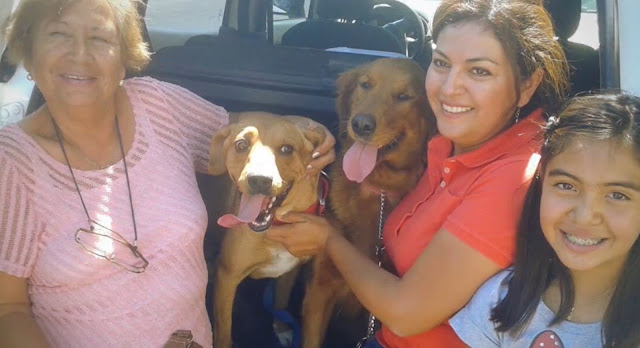 Extra image from article