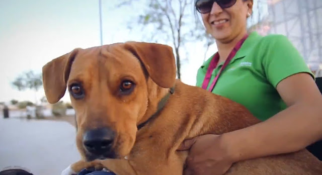 Extra image from article